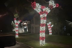 Custom Tree Wrap Scheme