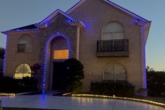 Purple & White Light Scheme