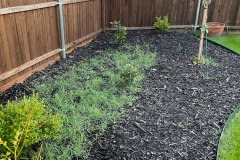 Shrub Bed Installation