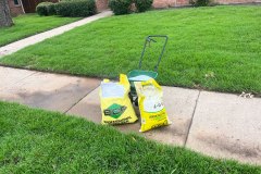 Fertilization and Weed Maintenance