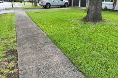 Fresh Cut Front Lawn