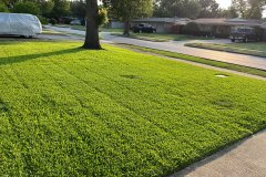 Fresh Cut Front Lawn