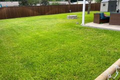 Fresh Cut Back Lawn
