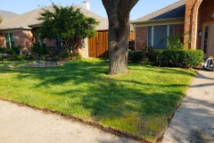 Home Lawn After Repair