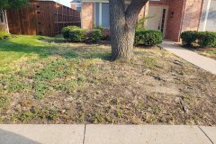 Home Lawn Before
