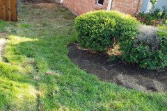 Home Lawn During Repair