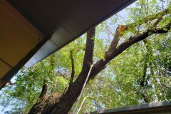 Storm Recovery 2 of 4