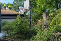 Storm Recovery 3 of 4